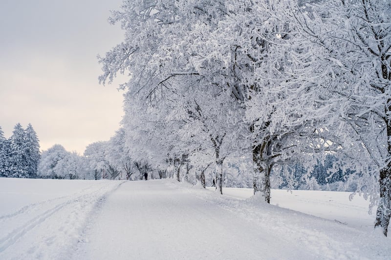 Winter Garden Decor