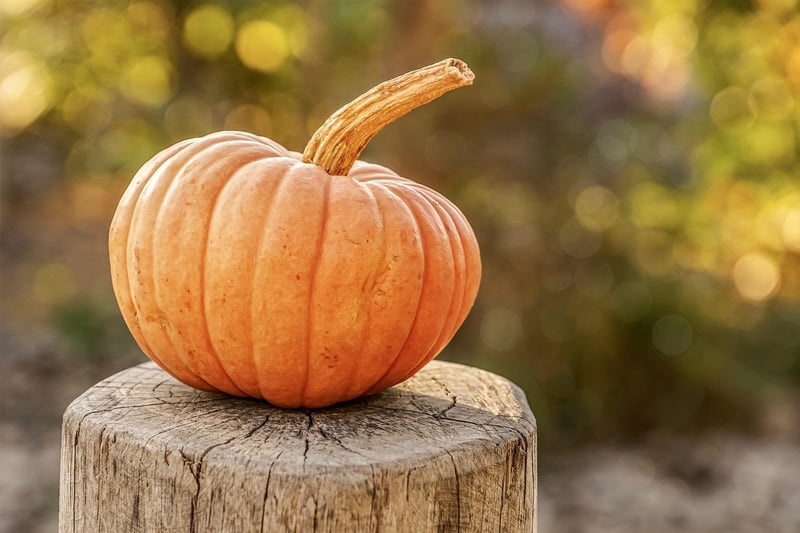 Fall Decorations